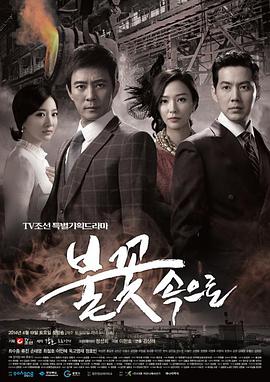 广东seo优化服务商